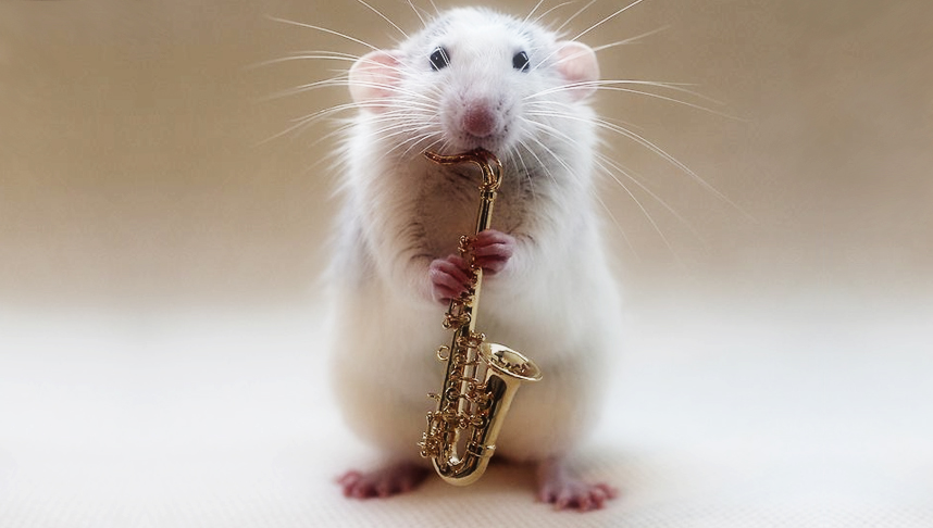 Photo souris qui joue du saxophone